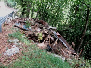 Along the road near our house