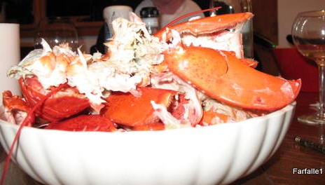 lobster-aftermath