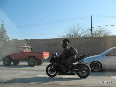 cal-cycle-gladiator cal-cycle-gladiator