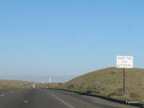 litter-fine2 litter-fine2