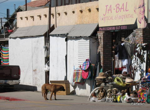 los-algodones-dog-and-shop-2-27-2009-22-00-44 los-algodones-dog-and-shop-2-27-2009-22-00-44