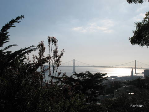 sf-bay-bridge sf-bay-bridge