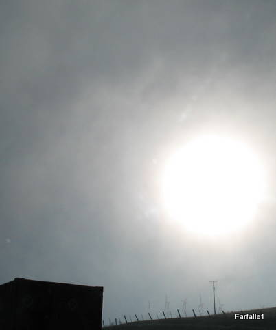 windmills-in-fog windmills-in-fog