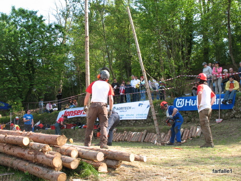 chain-saw-comp-timber