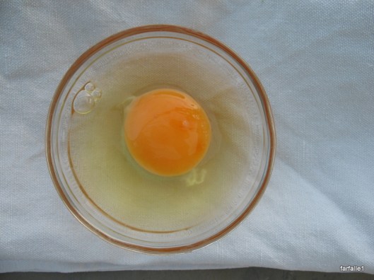 egg in bowl