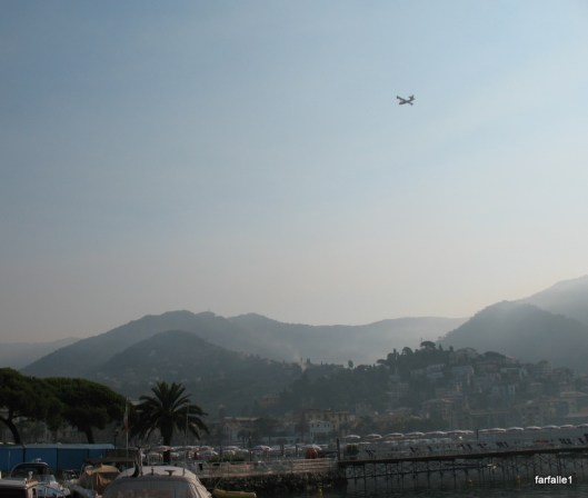 Canadair in smoky Rapallo