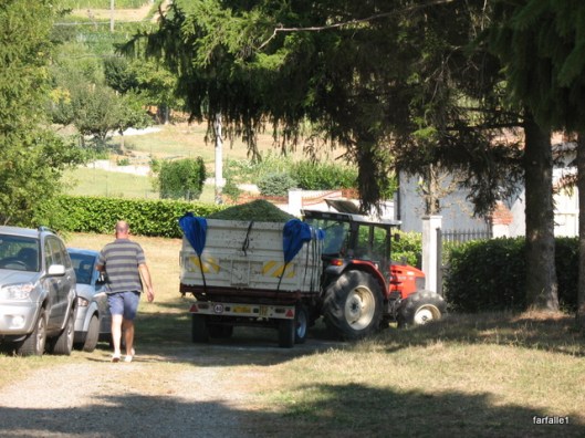 tractor (12)