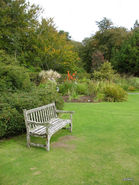 Dunvegan Castle garden-12