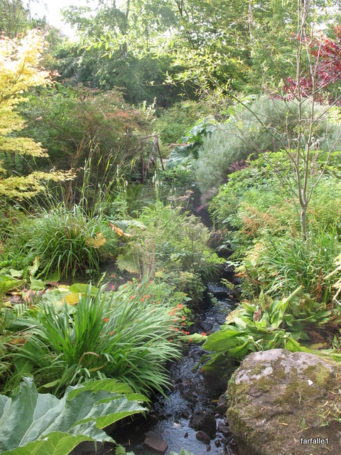 Dunvegan Castle water garden
