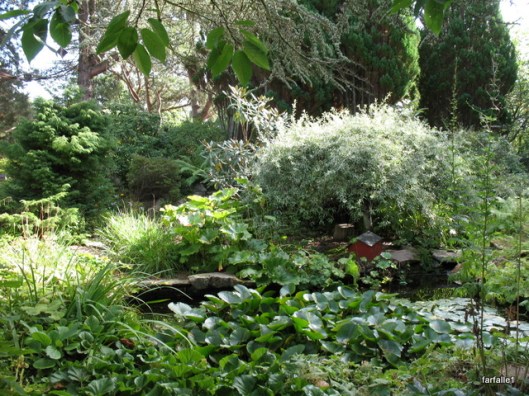 findhorn water garden