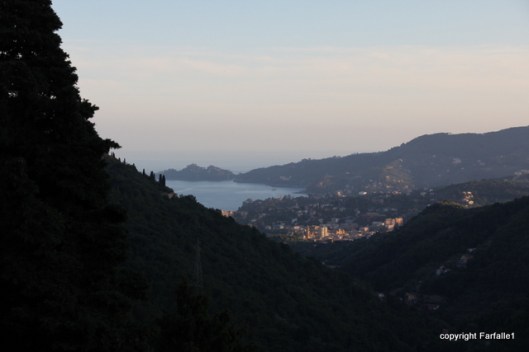 last light on Rapallo-002