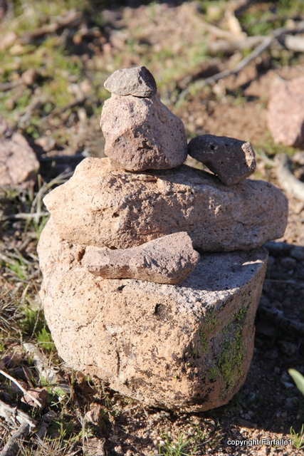 I'm not really a small cairn, I'm a______________