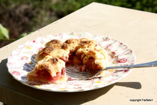 cherry tart half eaten