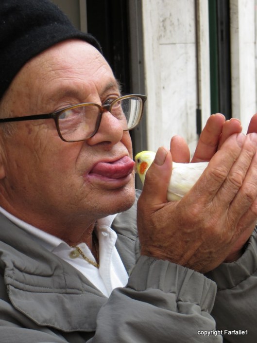 bird man of rapallo-001