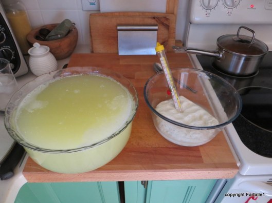 making mozarella-001