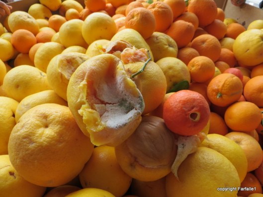 United Food Bank Tour bad fruit-002