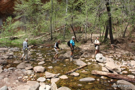 hike with Elly, Fritz, Jim Oak Canyon-007