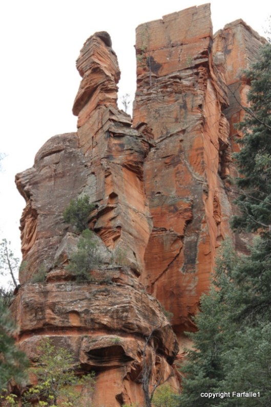 hike with Elly, Fritz, Jim Oak Canyon-012