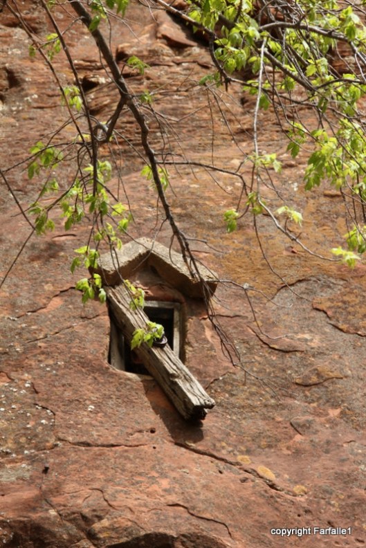 hike with Elly, Fritz, Jim Oak Canyon little window