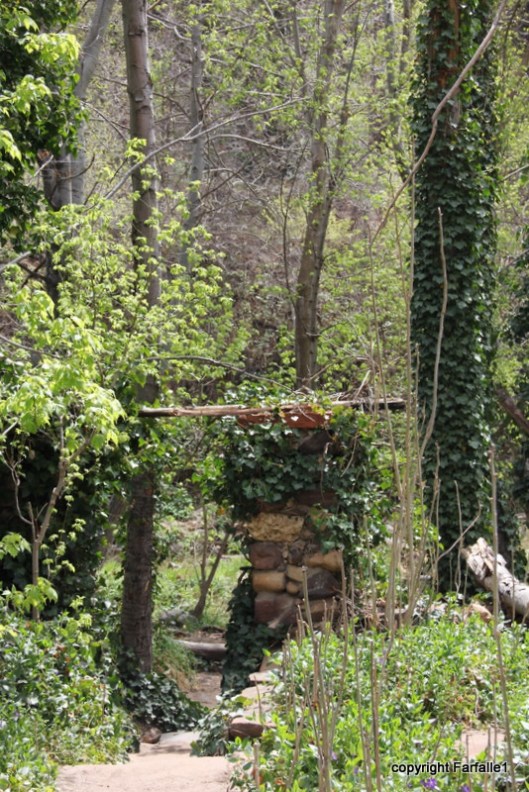hike with Elly, Fritz, Jim Oak Canyon Mayhew Lodge-001
