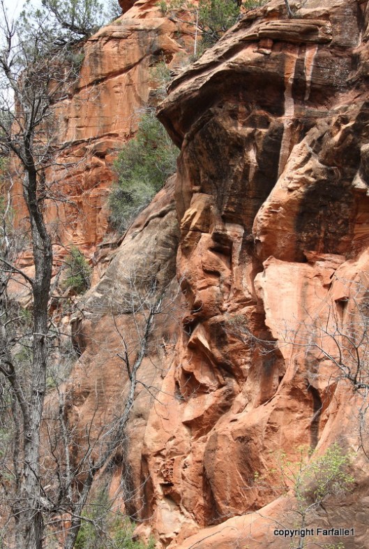 hike with Elly, Fritz, Jim Oak Canyon rock
