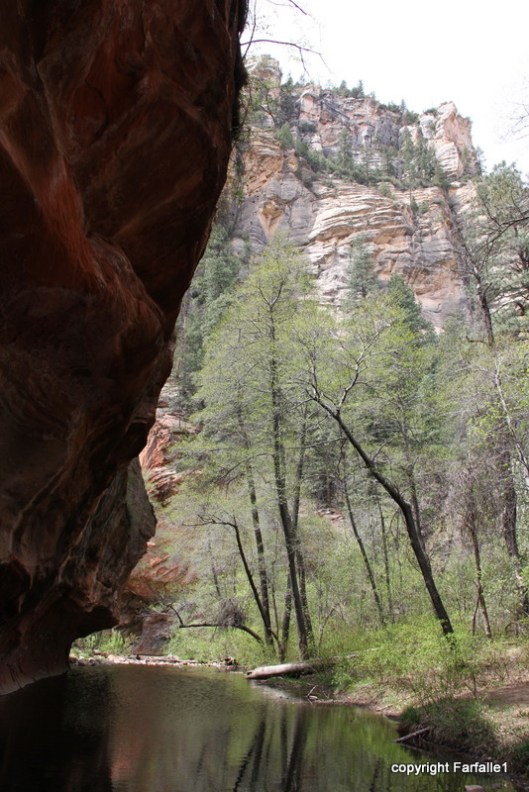 hike with Elly, Fritz, Jim Oak Canyon still stream