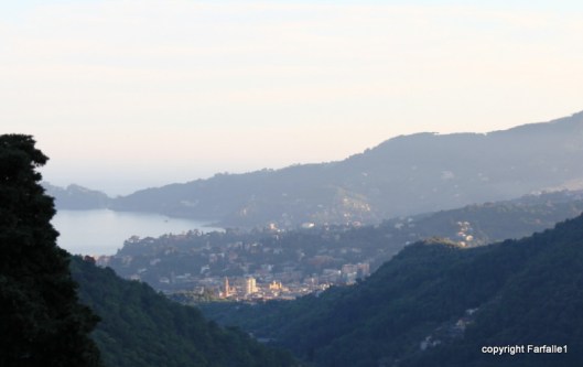 Rapallo at sunset