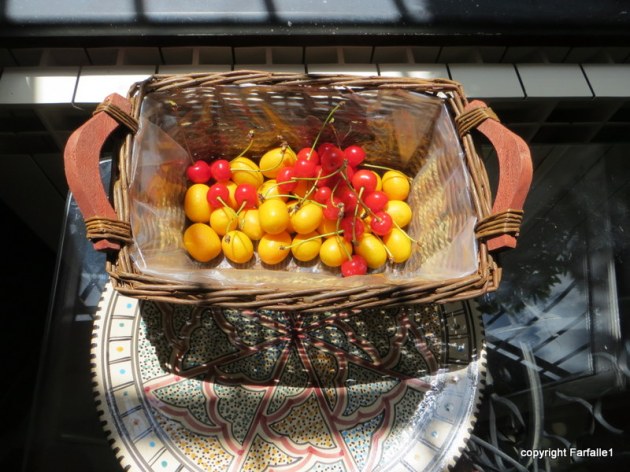 kumquats and cherries