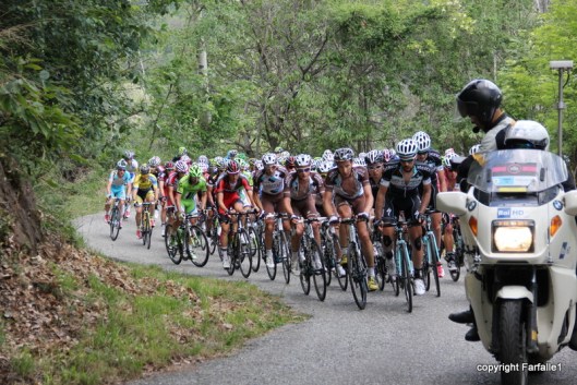 second group a lot of them-001