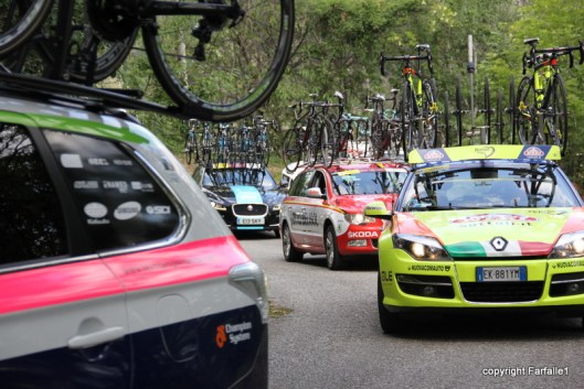 spare bikes between groups a jungle of bikes