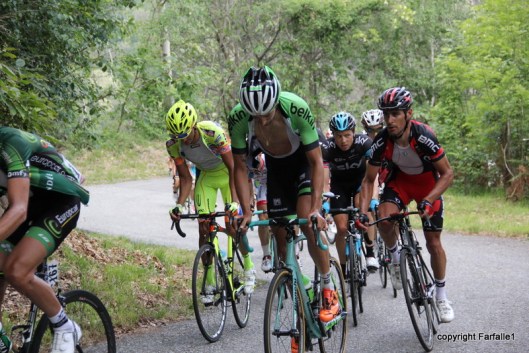 the first group of cyclists-016