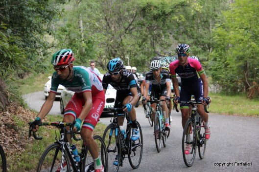 the first group of cyclists-025