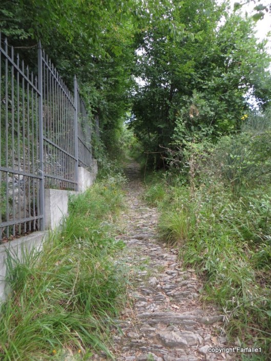 beginning of the path up