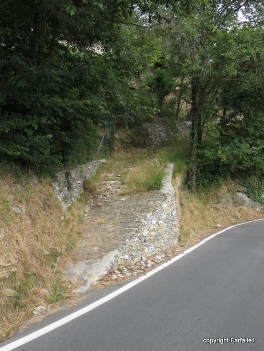 the start of the path