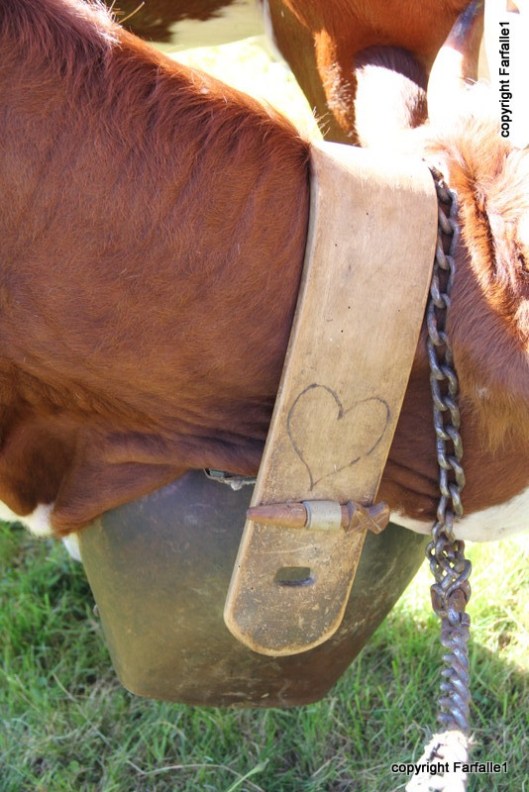 pezzata rossa di oropa old wooden collar-001