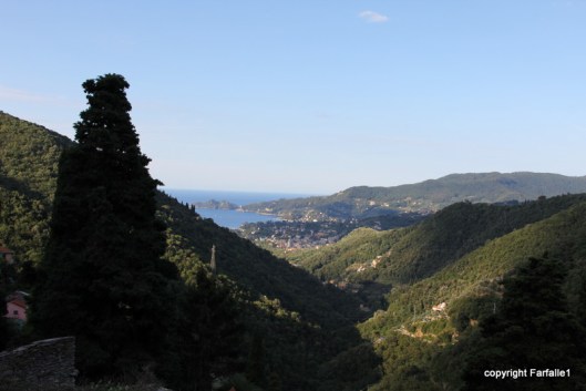 View from the guest room