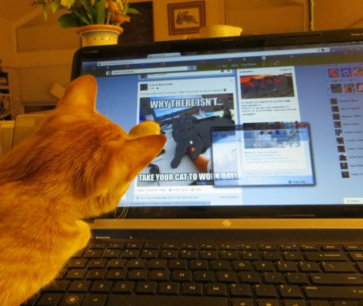 Jill and take cat to work screen-004A