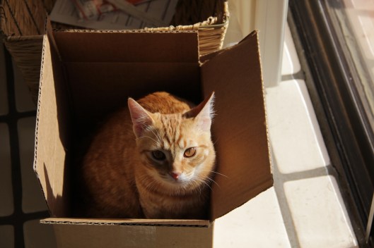 11111111111111111111111111111111111111111111111