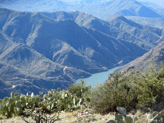 Vinyard trail with Elly, Canyon Lake