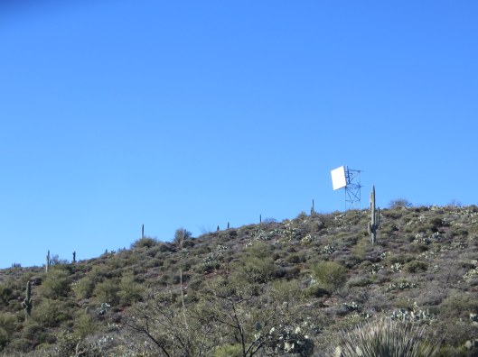 Vinyard trail with Elly, radio tower