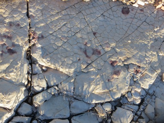 Vinyard trail with Elly rock