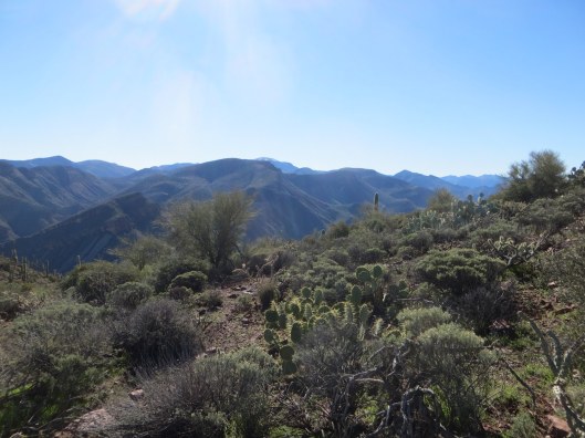 Vinyard trail with Elly, view south