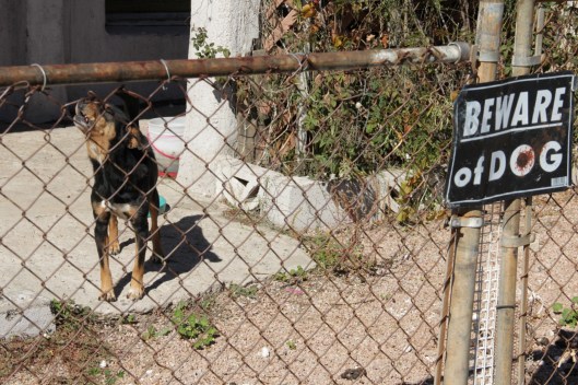 Superior House Tour beware of dog & dog