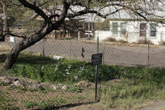 Superior House Tour crosses for vets-001