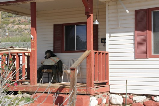 Superior House Tour monkey resident