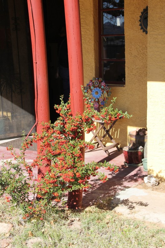 Superior House Tour varied decade house-002