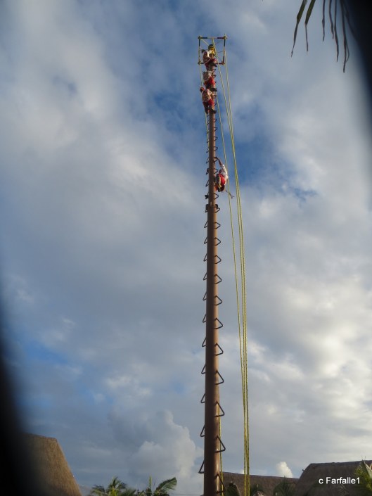 costa-maya-mayan-flyers-003