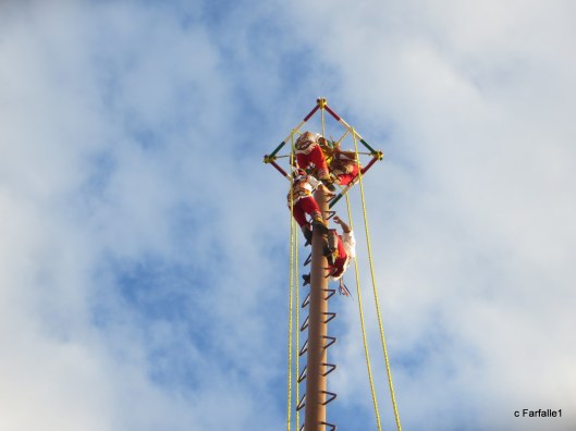 costa-maya-mayan-flyers-004