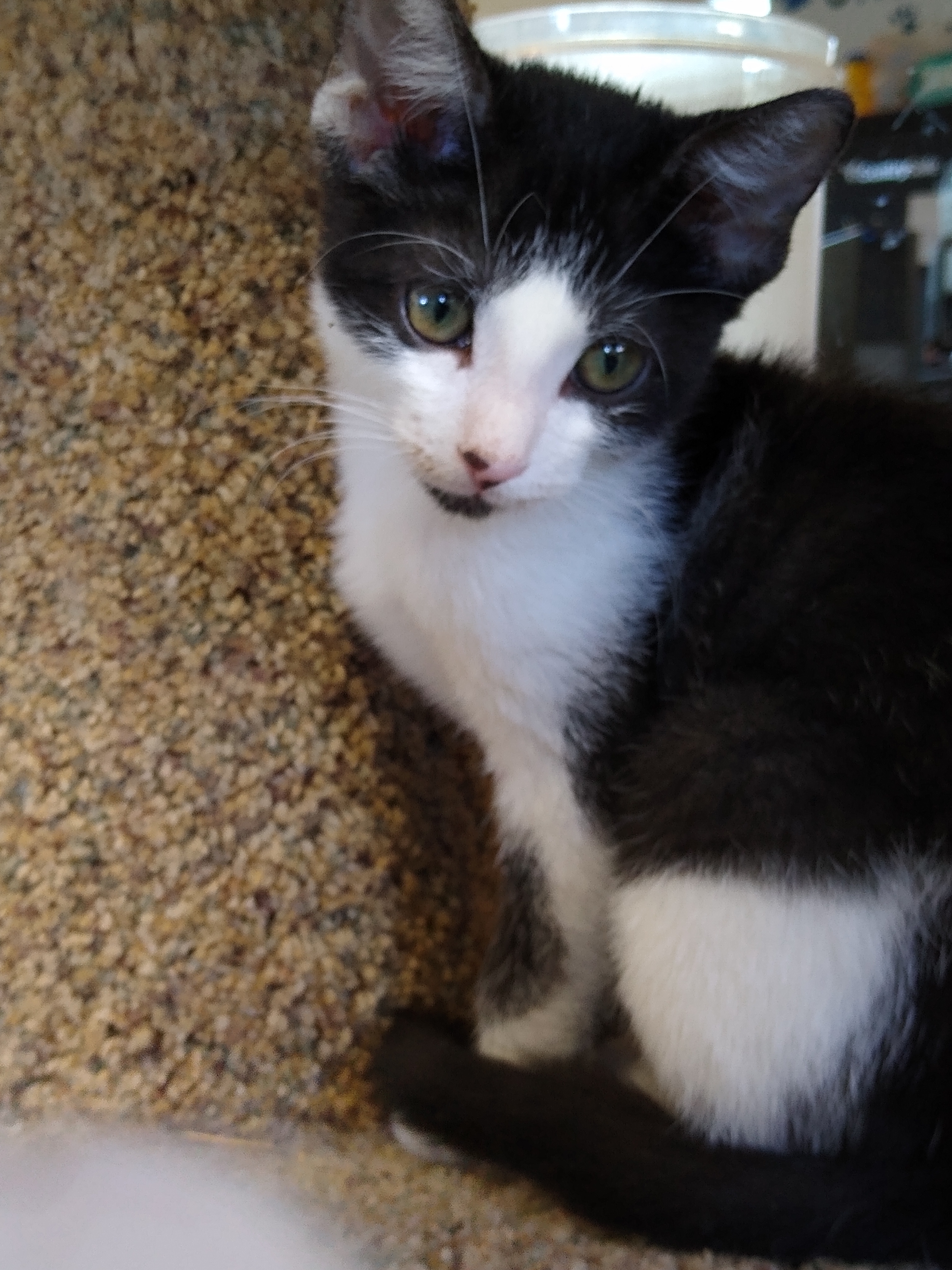 IMG_20190725_100248859